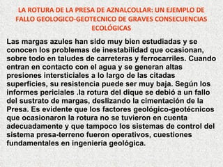 LA ROTURA DE LA PRESA DE AZNALCOLLAR: UN EJEMPLO DE FALLO GEOLOGICO-GEOTECNICO DE GRAVES CONSECUENCIAS ECOLÓGICAS Las margas azules han sido muy bien estudiadas y se conocen los problemas de inestabilidad que ocasionan, sobre todo en taludes de carreteras y ferrocarriles. Cuando entran en contacto con el agua y se generan altas  presiones intersticiales a lo largo de las citadas  superficies, su resistencia puede ser muy baja. Según los informes periciales .la rotura del dique se debió a un fallo del sustrato de margas, deslizando la cimentación de la  Presa. Es evidente que los factores geológico-geotécnicos que ocasionaron la rotura no se tuvieron en cuenta  adecuadamente y que tampoco los sistemas de control del sistema presa-terreno fueron operativos, cuestiones fundamentales en ingeniería geológica. 