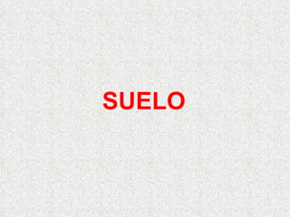 SUELO 