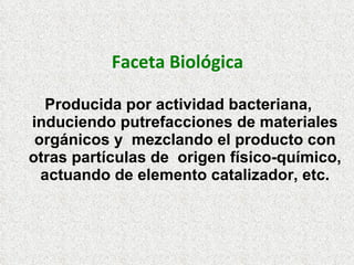 Faceta Biológica Producida por actividad bacteriana, induciendo putrefacciones de materiales orgánicos y  mezclando el producto con otras partículas de  origen físico-químico, actuando de elemento catalizador, etc. 