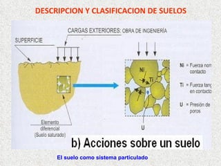 DESCRIPCION Y CLASIFICACION DE SUELOS El suelo como sistema particulado 