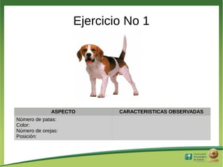 Ejercicio No 1




              ASPECTO       CARACTERISTICAS OBSERVADAS
Número de patas:
Color:
Número de orejas:
Posición:
 