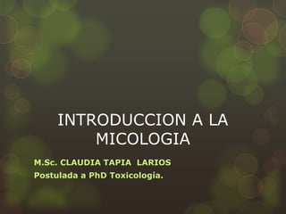 INTRODUCCION A LA
         MICOLOGIA
M.Sc. CLAUDIA TAPIA LARIOS
Postulada a PhD Toxicología.
 