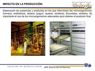 Elaboración de sustancias y productos en los que intervienen los microorganismos:
Cerveza, antibióticos, lácteos (yogurt, quesos, etcétera), Encurtidos, etcétera. Es
importante el uso de los microorganismos adecuados para obtener el producto final.
32
IMPACTO EN LA PRODUCCIÓN:
 