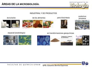5
INDUSTRIAL Y DE PRODUCTOS
de la leche de los alimentos para biosíntesis
control en
procesos
espacial (exobiología) en transformaciones geoquímicas
ÁREAS DE LA MICROBIOLOGÍA.
 
