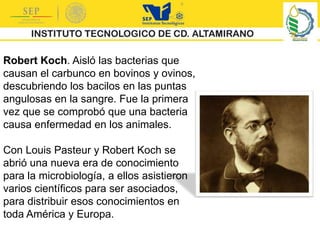 Robert Koch. Aisló las bacterias que
causan el carbunco en bovinos y ovinos,
descubriendo los bacilos en las puntas
angulosas en la sangre. Fue la primera
vez que se comprobó que una bacteria
causa enfermedad en los animales.
Con Louis Pasteur y Robert Koch se
abrió una nueva era de conocimiento
para la microbiología, a ellos asistieron
varios científicos para ser asociados,
para distribuir esos conocimientos en
toda América y Europa.
 