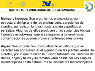 Mohos y hongos: Son organismos pluricelulares con
estructura similar a la de las plantas pero, careciendo de
clorofila, no realizan la fotosíntesis, siendo saprófitos o
parásitos. Algunos de ellos producen unas sustancias tóxicas
llamadas micotoxinas, que si se ingieren a determinadas
concentraciones pueden provocar enfermedades graves.
Algas: Son organismos principalmente acuáticos que se
caracterizan por presentar el pigmento de las plantas verdes, la
clorofila, por lo que realizan la función fotosintética. Carecen de
raíces, hojas y tallos y su tamaño varia desde células simples
microscópicas hasta estructuras multicelulares macroscópicas.
 