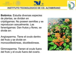 Botánica. Estudia diversas especies
de plantas, se dividen en
criptógamas: No poseen semillas y se
reproducen sexualmente. Las
fanerógamas: Dan frutos y flores, se
divide en:
Angiosperma. Tiene el ovulo dentro
del fruto y se divide en
monocotiledóneas, dicotiledóneas.
Gimnosperma. Tienen el ovulo fuera
del fruto y el ovulo fuera del ovario.
 