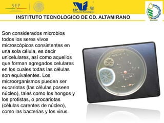 Son considerados microbios
todos los seres vivos
microscópicos consistentes en
una sola célula, es decir
unicelulares, así como aquellos
que forman agregados celulares
en los cuales todas las células
son equivalentes. Los
microorganismos pueden ser
eucariotas (las células poseen
núcleo), tales como los hongos y
los protistas, o procariotas
(células carentes de núcleo),
como las bacterias y los virus.
 