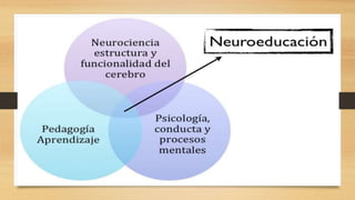 (NEURO) Introducción a la neurociencias