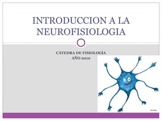 INTRODUCCION A LA
 NEUROFISIOLOGIA

    CÁTEDRA DE FISIOLOGÍA
          AÑO 2010
 