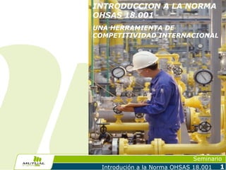 INTRODUCCION A LA NORMA
OHSAS 18.001
UNA HERRAMIENTA DE
COMPETITIVIDAD INTERNACIONAL




                               Seminario
  Introdución a la Norma OHSAS 18.001   1
 
