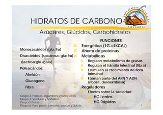 HIDRATOS DE CARBONO
              Azúcares, Glúcidos, Carbohidratos
                                                          FUNCIONES
                                                 Energética (1G.=4KCAL)
Monosacáridos (glu, fru)                         Ahorro de proteínas
Disacáridos :(sacarosa: glu+fru)                 Metabólicas
(lactosa:glu+gala)                                  Regulan metabolismo de grasas
                                                    Regulan el tránsito intestinal (fibra)
Polisacáridos:                                      Estimulan el crecimiento de flora
   Almidón                                          intestinal
                                                    Forman parte del ARN Y ADN
   Glucógeno                                        (ribosa, desoxirribosa)
   Fibra                                         Reguladores
                                                    Efectos sobre la saciedad
Grupo 3: Patatas, legumbres y frutos secos             HC Lentos
Grupo 4: Verduras y hortalizas
Grupo 5:Frutas                                         HC Rápidos
Grupo 6: Pan, pasta, cereales, azúcar y dulces                                        6
 
