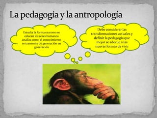 Debe considerar las
transformaciones actuales y
definir la pedagogía que
mejor se adecue a las
nuevas formas de vivir
Estudia la forma en como se
educan los seres humanos
analiza como el conocimiento
se transmite de generación en
generación
 