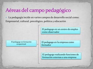  La pedagogía incide en varios campos de desarrollo social como:
Empresarial, cultural, psicológico, política y educación
El pedagogo en formación
ocupacional
El pedagogo en un centro de empleo
como observador
El pedagogo en la empresa como
formador
El pedagogo realizando funciones de
formación externas a una empresa
 