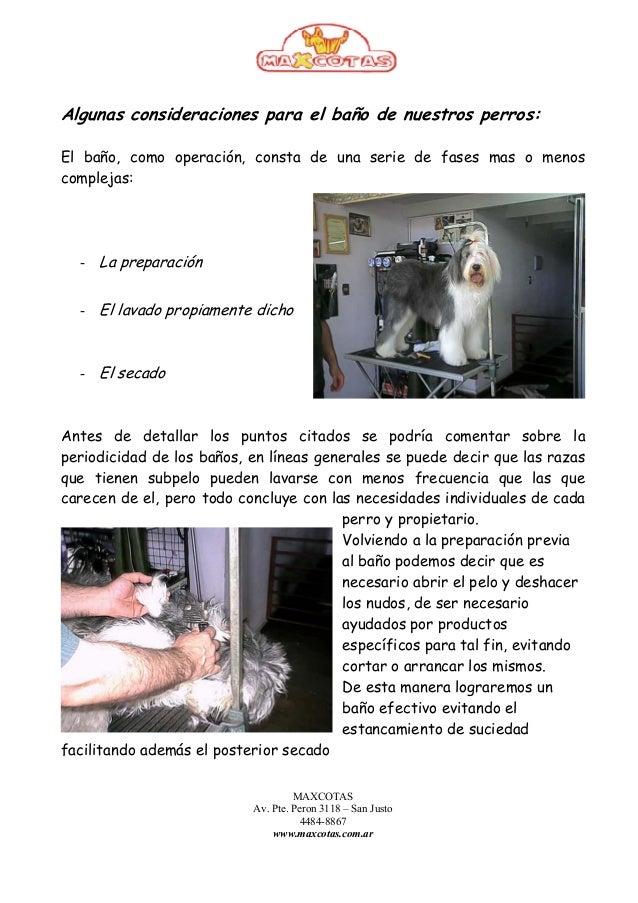 Manual De Peluqueria Canina Para Descargar Gratis