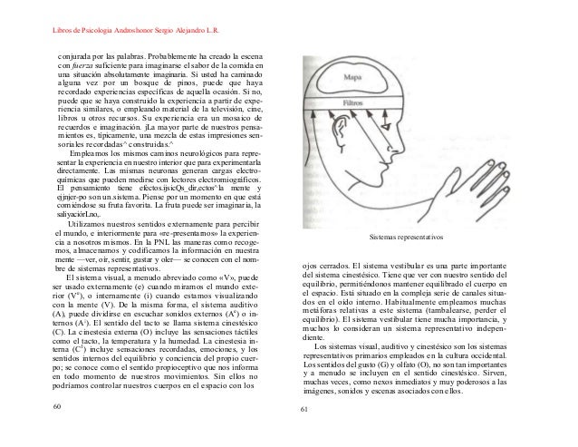 Introduccion a la pnl joseph o connor pdf
