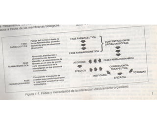 Introduccion_a_la_Psicofarmacologia.pptx