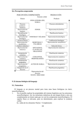 Xavier Frías Conde
18
8.4. Percepción-comprensión
PERCEPCIÓN-COMPRENSIÓN PRODUCCIÓN
Emisión verbal
Educto Producto
ONDA SONORA DEL
HABLA
Procesos
acústicos–
fonéticos
Procesos articulatorios
Representación
fonética
FONOS Representación fonética
Decodificación
fonológica
Planificación fonética
Representación
fonológica
FONEMAS Y SÍLABAS Representación fonológica
Acceso al léxico Codificación fonológica
Representación–
morfoléxica
MORFEMAS Y
PALABRAS
Representación–morfoléxica
Análisis sintáctico Selección léxica
Representación
sintáctica
SINTAGMAS,
CLÁUSULAS,
ORACIONES
Representación sintáctica
Interpretación
semántica
Planificación sintáctica
Representación
semántica
CONCEPTOS,
PROPOSICIONES
Representación semántica
Interpretación
pragmática
Planificación semántica
Representación
pragmática
ACTOS DE HABLA Representación pragmática
Integración en el
discurso
Planificación pragmática
Representación del
discurso
TEXTO / DISCURSO
9. El sistema biológico del lenguaje
9.1. Naturaleza
El lenguaje es un proceso mental pero tiene unas bases biológicas (es decir,
neurofisiológicas)
1. No es posible explicar las propiedades del sistema lingüístico por las estructuras
neurofisiológicas. Así, las estructuras sintácticas de una lengua frente a otra son
completamente no tienen nada que ver con los componente neurofisiológicos. El
soporte físico es relevante, pero no determinante, para explicar la conducta
verbal.
Ej.: orden de los elementos Núcleo + Complemento
 