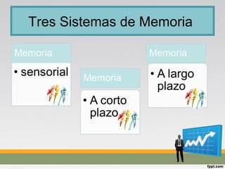 Tres Sistemas de Memoria
 