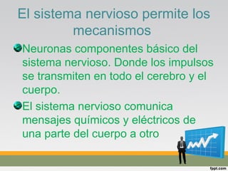 El sistema nervioso permite los
mecanismos
Neuronas componentes básico del
sistema nervioso. Donde los impulsos
se transmiten en todo el cerebro y el
cuerpo.
El sistema nervioso comunica
mensajes químicos y eléctricos de
una parte del cuerpo a otro
 