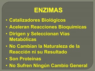 ENZIMAS
• Catalizadores Biológicos
• Aceleran Reacciones Bioquímicas
• Dirigen y Seleccionan Vías
Metabólicas
• No Cambian la Naturaleza de la
Reacción ni su Resultado
• Son Proteínas
• No Sufren Ningún Cambio General
 