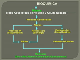 Materia
(Todo Aquello que Tiene Masa y Ocupa Espacio)
Protrones (P)
(Carga Positiva)
Partículas Fundamentales
Moléculas
(Dos o Más Átomos Combinados Químicamente)
Átomos
Neutrones (n)
(Sin Carga)
Electrones (e-)
(Carga Negativa)
Núcleo Alrededor Del Núcleo
 