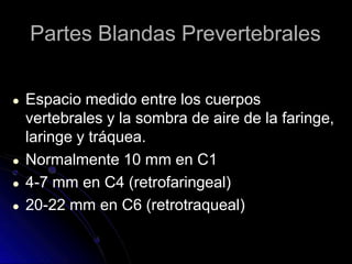 Partes Blandas Prevertebrales
● Espacio medido entre los cuerpos
vertebrales y la sombra de aire de la faringe,
laringe y tráquea.
● Normalmente 10 mm en C1
● 4-7 mm en C4 (retrofaringeal)
● 20-22 mm en C6 (retrotraqueal)
 
