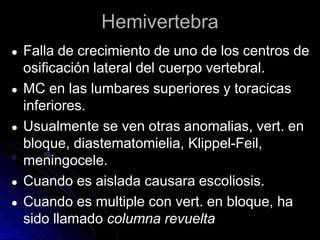 Hemivertebra
● Falla de crecimiento de uno de los centros de
osificación lateral del cuerpo vertebral.
● MC en las lumbares superiores y toracicas
inferiores.
● Usualmente se ven otras anomalias, vert. en
bloque, diastematomielia, Klippel-Feil,
meningocele.
● Cuando es aislada causara escoliosis.
● Cuando es multiple con vert. en bloque, ha
sido llamado columna revuelta
 