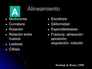 Alineamiento
● Mediciones
● Curvatura
● Rotación
● Relación entre
huesos
● Lordosis
● Cifósis
● Escoliosis
● Deformidad
● Espondilolistesis
● Fractura: alineación:
aposición,
angulación, rotación
A
Yochum & Rowe, 1996
 