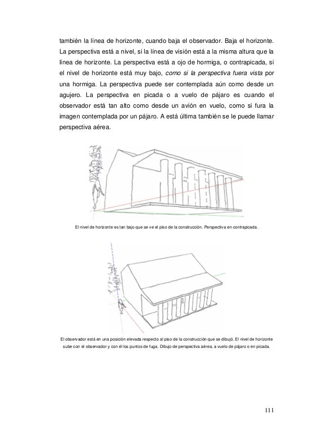 Perspectiva