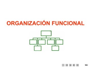 ORGANIZACIÓN FUNCIONAL 