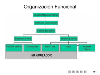 Organización Funcional 