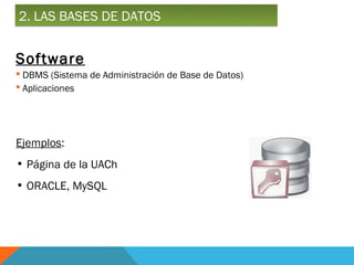 2. LAS BASES DE DATOS


Software
 DBMS (Sistema de Administración de Base de Datos)
 Aplicaciones




Ejemplos:
• Página de la UACh
• ORACLE, MySQL
 