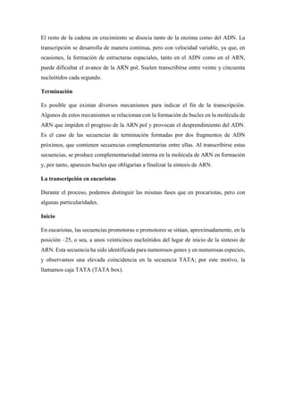 El resto de la cadena en crecimiento se disocia tanto de la enzima como del ADN. La
transcripción se desarrolla de manera continua, pero con velocidad variable, ya que, en
ocasiones, la formación de estructuras espaciales, tanto en el ADN como en el ARN,
puede dificultar el avance de la ARN pol. Suelen transcribirse entre veinte y cincuenta
nucleótidos cada segundo.
Terminación
Es posible que existan diversos mecanismos para indicar el fin de la transcripción.
Algunos de estos mecanismos se relacionan con la formación de bucles en la molécula de
ARN que impiden el progreso de la ARN pol y provocan el desprendimiento del ADN.
Es el caso de las secuencias de terminación formadas por dos fragmentos de ADN
próximos, que contienen secuencias complementarias entre ellas. Al transcribirse estas
secuencias, se produce complementariedad interna en la molécula de ARN en formación
y, por tanto, aparecen bucles que obligarían a finalizar la síntesis de ARN.
La transcripción en eucariotas
Durante el proceso, podemos distinguir las mismas fases que en procariotas, pero con
algunas particularidades.
Inicio
En eucariotas, las secuencias promotoras o promotores se sitúan, aproximadamente, en la
posición –25, o sea, a unos veinticinco nucleótidos del lugar de inicio de la síntesis de
ARN. Esta secuencia ha sido identificada para numerosos genes y en numerosas especies,
y observamos una elevada coincidencia en la secuencia TATA; por este motivo, la
llamamos caja TATA (TATA box).
 