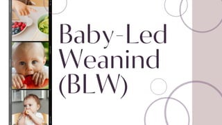 La serie tiene lugar en una gran ciudad
metropolitana, y cada episodio se centra
en un caso de asesinato diferente en
varios vecindarios y comunidades.
Baby-Led
Weanind
(BLW)
 