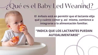 ¿Qué es el Baby Led Weanind?
El énfasis está en permitir que el lactante elija
qué y cuánto comer y, así mismo, comience a
integrarse a la alimentación familiar.
“INDICA QUE LOS LACTANTES PUEDAN
AUTOALIMENTARSE”
 