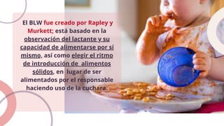 El BLW fue creado por Rapley y
Murkett; está basado en la
observación del lactante y su
capacidad de alimentarse por sí
mismo, así como elegir el ritmo
de introducción de alimentos
sólidos, en lugar de ser
alimentados por el responsable
haciendo uso de la cuchara.
 