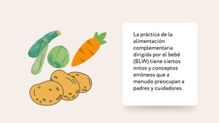 La práctica de la
alimentación
complementaria
dirigida por el bebé
(BLW) tiene ciertos
mitos y conceptos
erróneos que a
menudo preocupan a
padres y cuidadores.
 