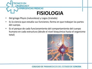 FISIOLOGIA<br />Del griego Physis (naturaleza) y Logos (tratado) <br />Es la ciencia que estudia sus funciones; forma en q...