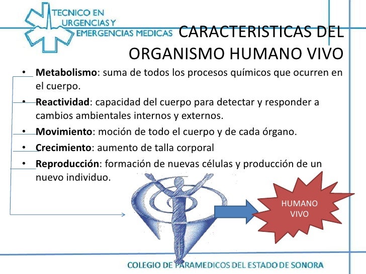 Por eso nunca va a esquema metabolismo celular