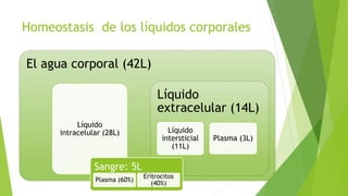 Introduccion al cuerpo humano | PPTX