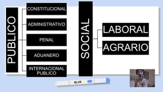 PUBLICO CONSTITUCIONAL
ADMINISTRATIVO
PENAL
ADUANERO
INTERNACIONAL
PUBLICO
SOCIAL
LABORAL
AGRARIO
 