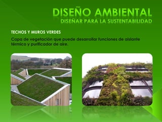 Capa de vegetación que puede desarrollar funciones de aislante 
térmico y purificador de aire. 
 