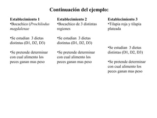 Continuación del ejemplo:
Establecimiento 1
•Bocachico (Prochilodus
magdalenae
•Se estudian 3 dietas
distintas (D1, D2, D3)
•Se pretende determinar
con cual alimento los
peces ganan mas peso
Establecimiento 2
•Bocachico de 3 distintas
regiones
•Se estudian 3 dietas
distintas (D1, D2, D3)
•Se pretende determinar
con cual alimento los
peces ganan mas peso
Establecimiento 3
•Tilapia roja y tilapia
plateada
•Se estudian 3 dietas
distintas (D1, D2, D3)
•Se pretende determinar
con cual alimento los
peces ganan mas peso
 