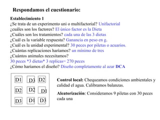 Respondamos el cuestionario:
Establecimiento 1
¿Se trata de un experimento uni o multifactorial? Unifactorial
¿cuáles son los factores? El único factor es la Dieta
¿Cuáles son los tratamientos? cada una de las 3 dietas
¿Cuál es la variable respuesta? Ganancia en peso en g.
¿Cuál es la unidad experimental? 30 peces por piletas o acuarios.
¿Cuántas replicaciones haríamos? un mínimo de tres
¿Cuántos animales necesitamos?
30 peces *3 dietas* 3 replicas= 270 peces
¿Cómo haríamos el diseño? Diseño completamente al azar DCA
D1 D2
D2
D3
Control local: Chequeamos condiciones ambientales y
calidad el agua. Calibramos balanzas.
Aleatorización: Consideramos 9 piletas con 30 peces
cada una
D3
D2 D1
D1 D3
 