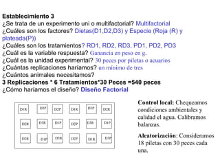 Establecimiento 3
¿Se trata de un experimento uni o multifactorial? Multifactorial
¿Cuáles son los factores? Dietas(D1,D2,D3) y Especie (Roja (R) y
plateada(P))
¿Cuáles son los tratamientos? RD1, RD2, RD3, PD1, PD2, PD3
¿Cuál es la variable respuesta? Ganancia en peso en g.
¿Cuál es la unidad experimental? 30 peces por piletas o acuarios
¿Cuántas replicaciones haríamos? un mínimo de tres
¿Cuántos animales necesitamos?
3 Replicaciones * 6 Tratamientos*30 Peces =540 peces
¿Cómo haríamos el diseño? Diseño Factorial
D1R D2P
D2R
D2R
D3P
D3R D1P
D1P D3R
D1R D2R
D2P
D2P
D3P
D3R D1P
D1R D3P
Control local: Chequeamos
condiciones ambientales y
calidad el agua. Calibramos
balanzas.
Aleatorización: Consideramos
18 piletas con 30 peces cada
una.
 