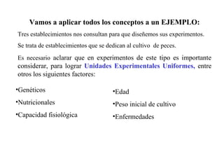 Vamos a aplicar todos los conceptos a un EJEMPLO:
Tres establecimientos nos consultan para que diseñemos sus experimentos.
Se trata de establecimientos que se dedican al cultivo de peces.
Es necesario aclarar que en experimentos de este tipo es importante
considerar, para lograr Unidades Experimentales Uniformes, entre
otros los siguientes factores:
•Genéticos
•Nutricionales
•Capacidad fisiológica
•Edad
•Peso inicial de cultivo
•Enfermedades
 