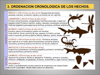 3. ORDENACION CRONOLOGICA DE LOS HECHOS. 
