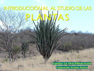 INTRODUCCIÓNAL AL STUDIO DE LAS
PLANTAS
Expositor: Lic. Olvin Wilfredo Oyuela
Colaboración: Esteban Jiménez
 