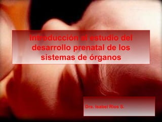 Introducción al estudio del
desarrollo prenatal de los
sistemas de órganos
Dra. Isabel Rios S.
 